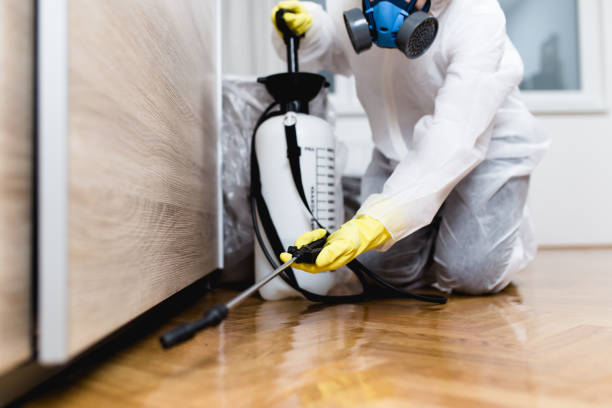 Pest Prevention Services in Oquawka, IL