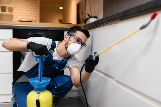 Best Residential Pest Control  in Oquawka, IL