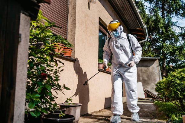 Best Best Pest Control Companies  in Oquawka, IL