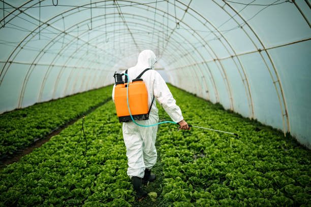 Best Ant Control Services  in Oquawka, IL