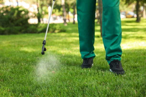 Best Local Pest Control Services  in Oquawka, IL