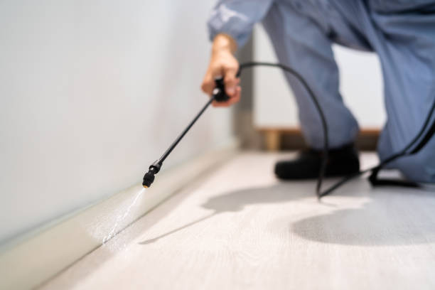 Best Pest Prevention Services  in Oquawka, IL