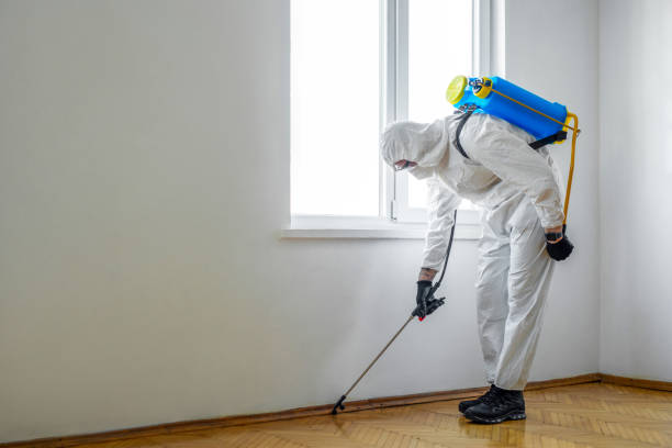 Best Bed Bug Extermination  in Oquawka, IL