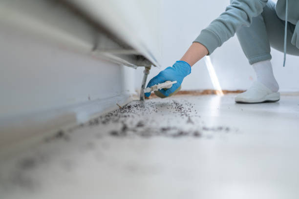 Best Wildlife Control Services  in Oquawka, IL